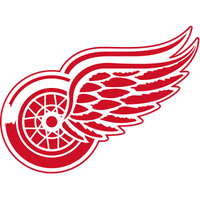 Detroit Red Wings Team Jerseys