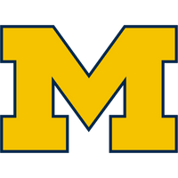 Michigan Wolverines Team Jerseys